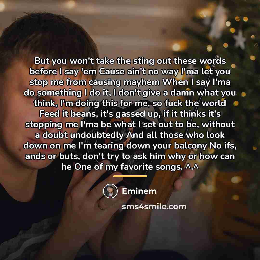 “But you won't take the sting out these words before…” quote by Eminem