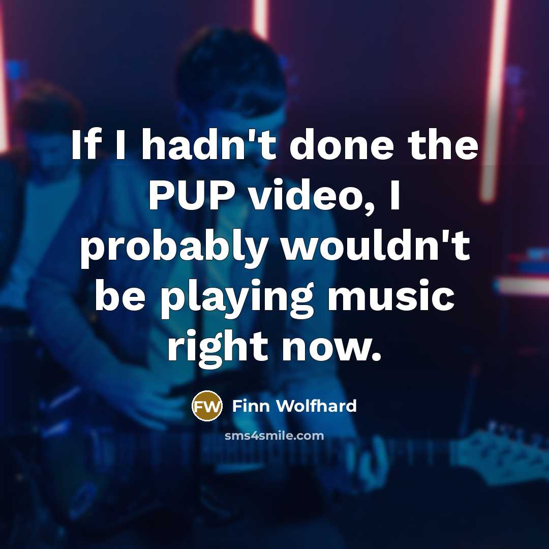 “If I hadn't done the PUP video, I probably wouldn't…” quote by Finn Wolfhard