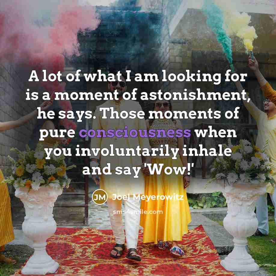 “A lot of what I am looking for is a…” quote by Joel Meyerowitz