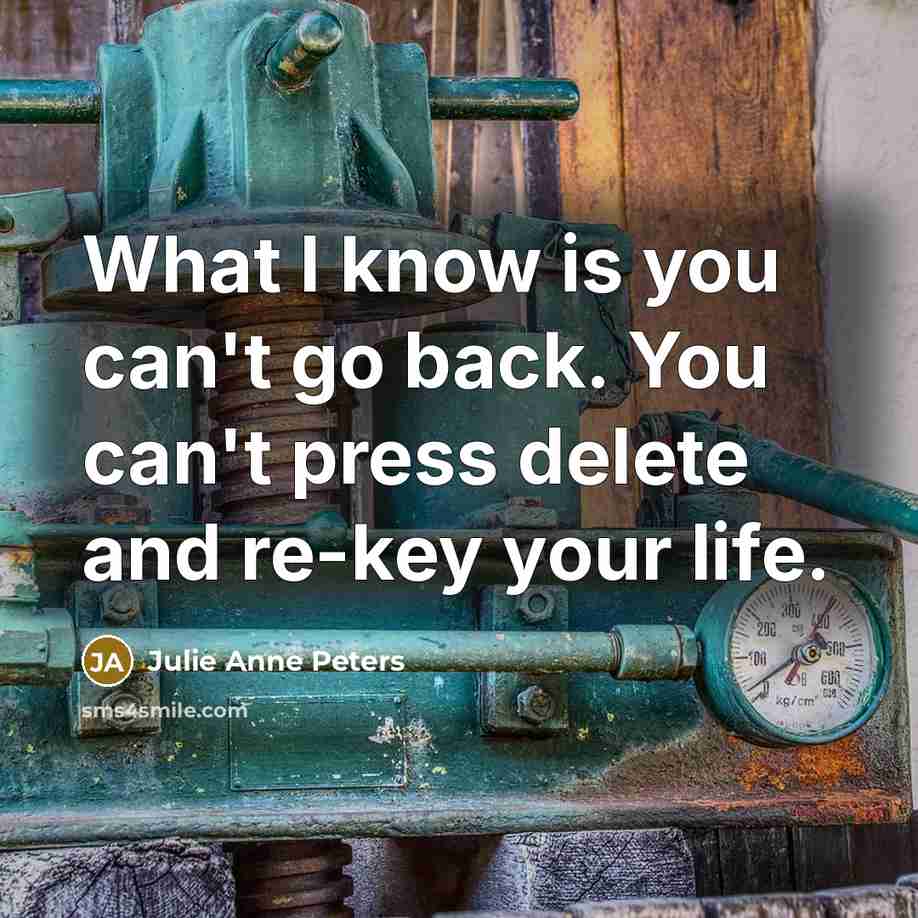 “What I know is you can't go back. You can't press delete and re-key your life.” quote by Julie Anne Peters