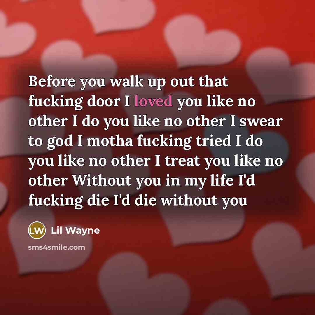 “Before you walk up out that fucking door I loved…” quote by Lil Wayne