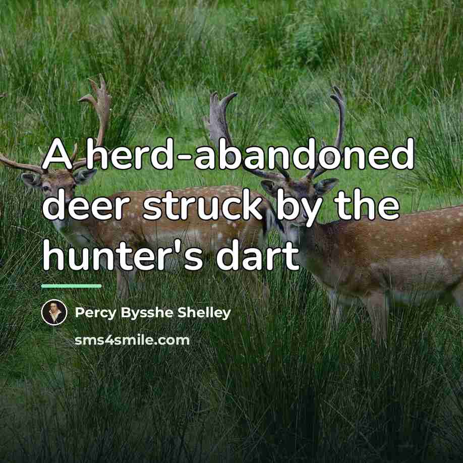 “A herd-abandoned deer struck by the hunter's dart…” quote by Percy Bysshe Shelley
