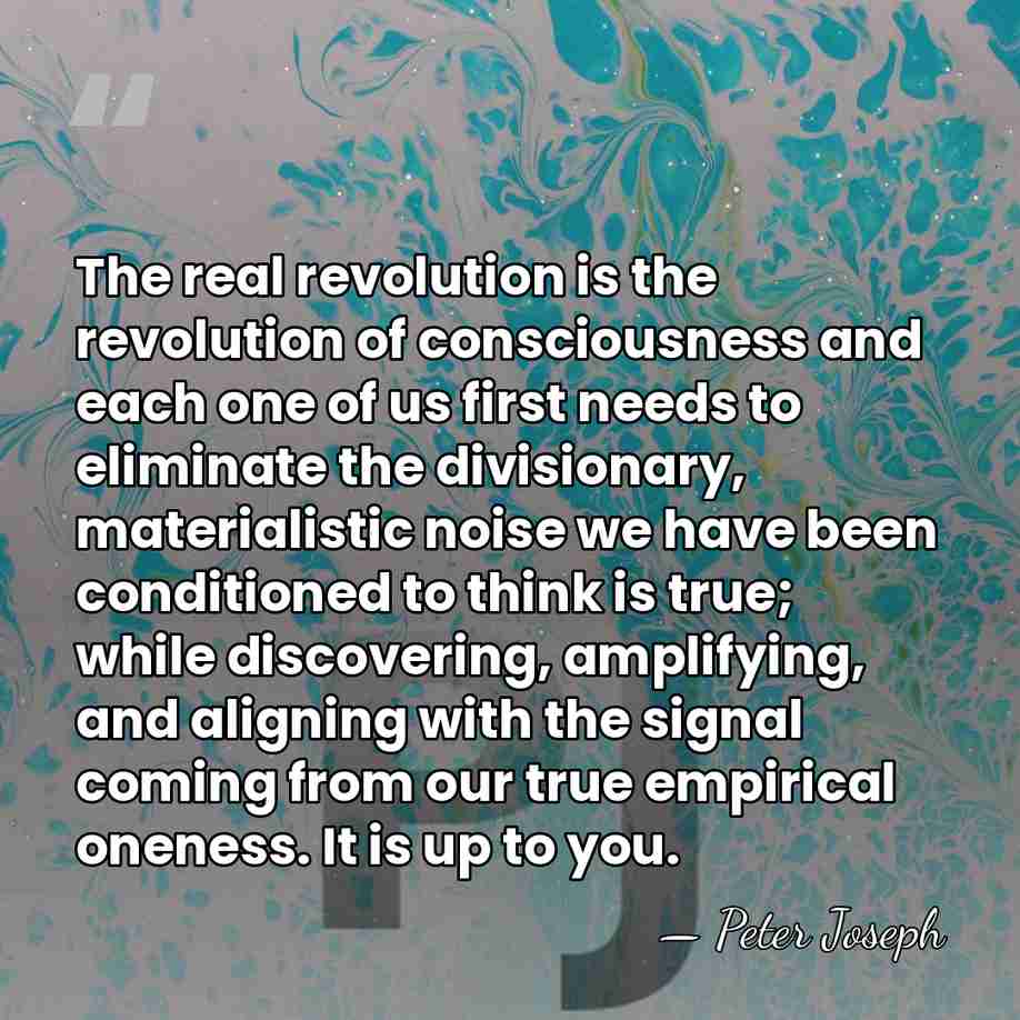 The real revolution is the revolution of consciousness and each one of&hellip; - Peter Joseph
