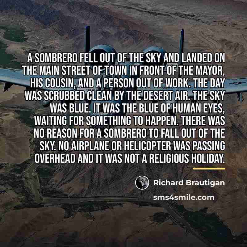 “A sombrero fell out of the sky and landed on…” quote by Richard Brautigan