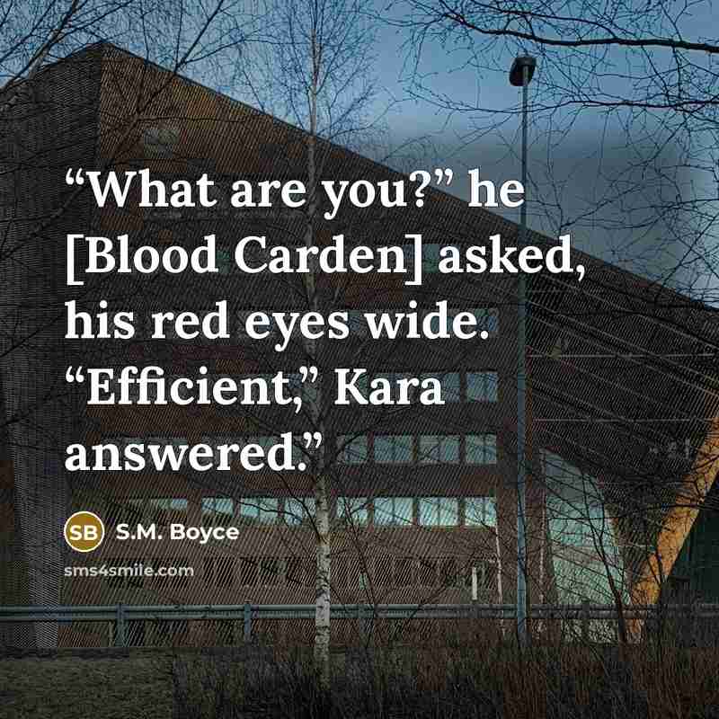 “What are you?” he [Blood Carden] asked, his red eyes wide. “Efficient,” Kara answered.” quote by S.M. Boyce
