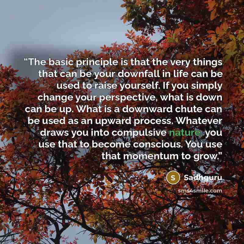“The basic principle is that the very things that can be your downfall in life can be used to raise yourself. If you simply change your perspective, what is down can be up. What is a downward chute can be used as an upward process. Whatever draws you into compulsive nature, you use that to become…” quote by Sadhguru