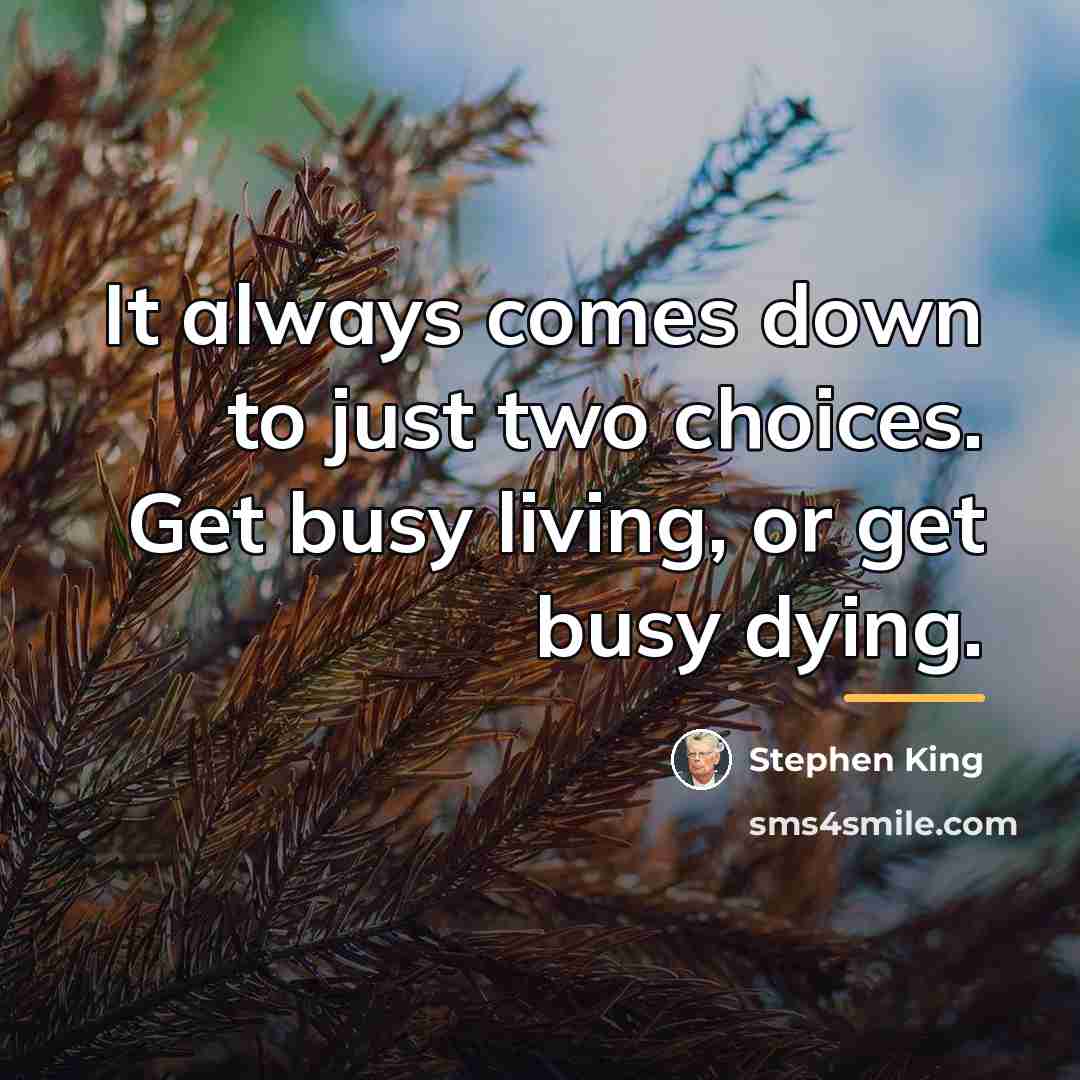 “It always comes down to just two choices. Get busy…” quote by Stephen King