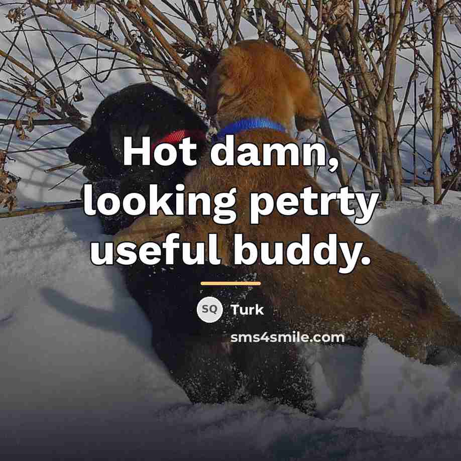 “Hot damn, looking petrty useful buddy.…” quote by Turk
