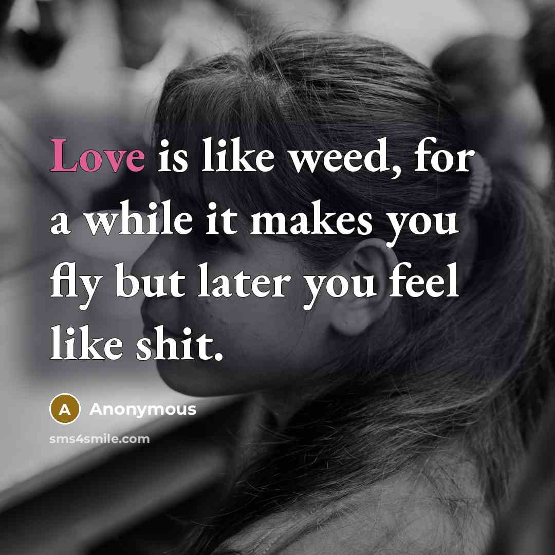 “Love is like weed, for a while it makes you fly but later you feel like shit.” quote by Anonymous