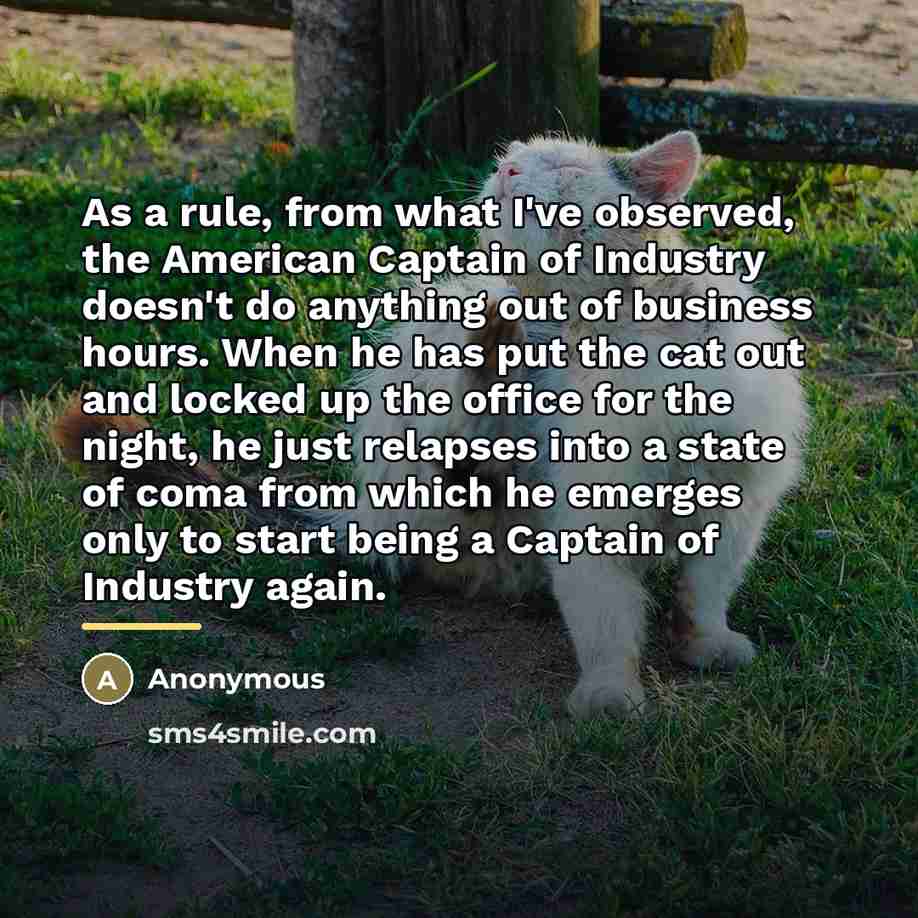 “As a rule, from what I've observed, the American Captain…” quote by Anonymous