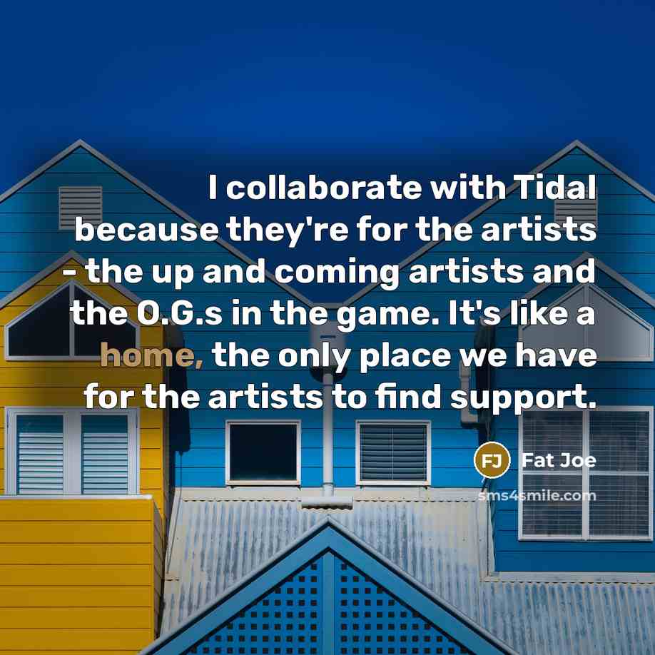 “I collaborate with Tidal because they're for the artists -…” quote by Fat Joe