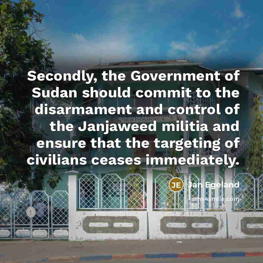 “Secondly, the Government of Sudan should commit to the disarmament…” quote by Jan Egeland