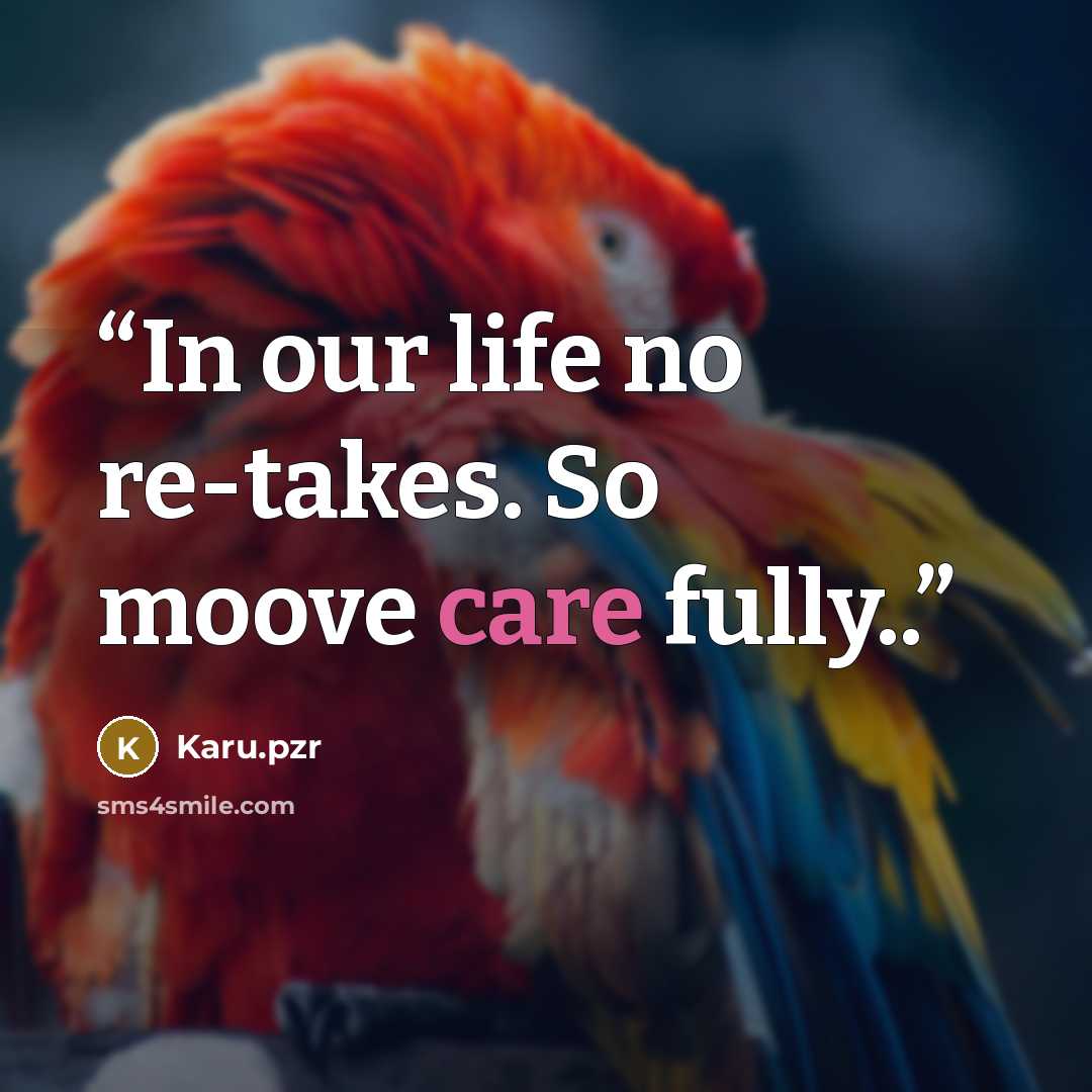 “In our life no re-takes. So moove care fully..” quote by Karu.pzr