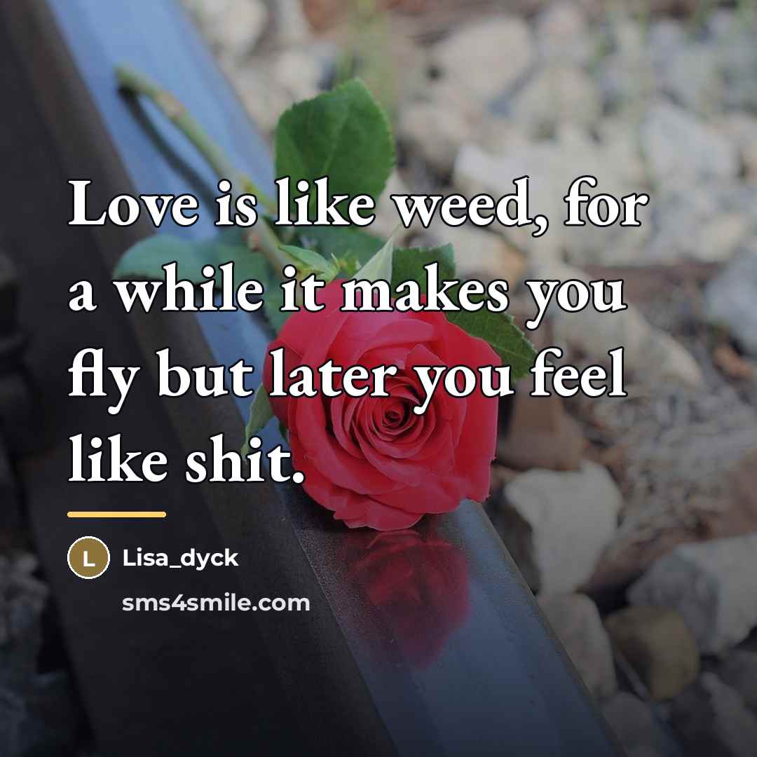 “Love is like weed, for a while it makes you…” quote by Anonymous