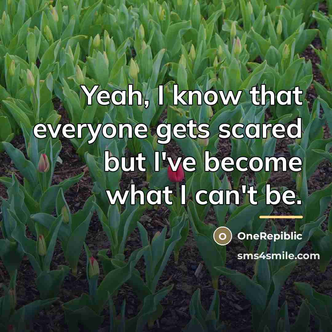 “Yeah, I know that everyone gets scared but I've become…” quote by OneRepiblic