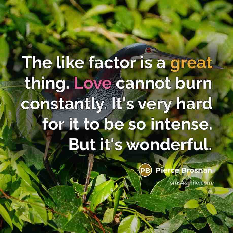 “The like factor is a great thing. Love cannot burn…” quote by Pierce Brosnan