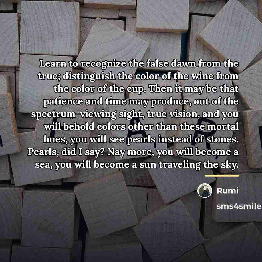 “Learn to recognize the false dawn from the true; distinguish…” quote by Rumi