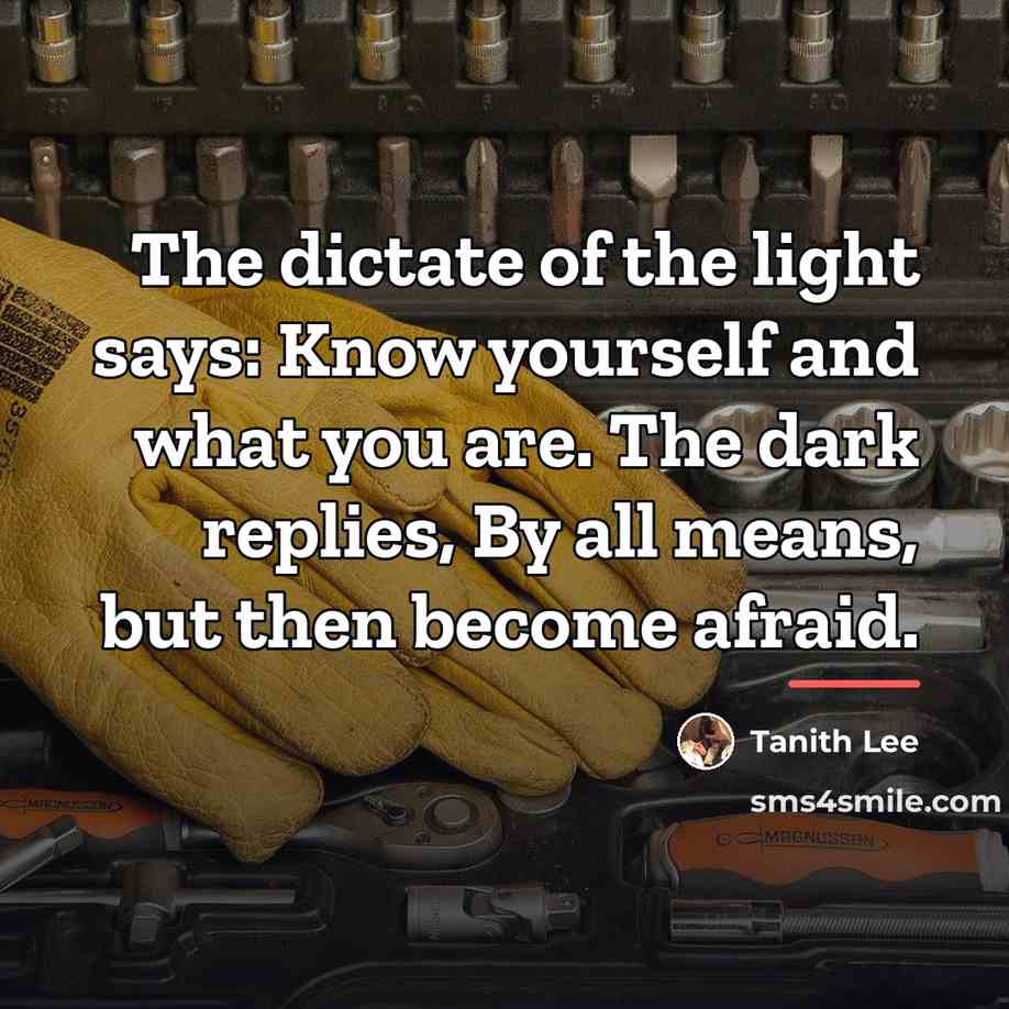 “The dictate of the light says: Know yourself and what…” quote by Tanith Lee
