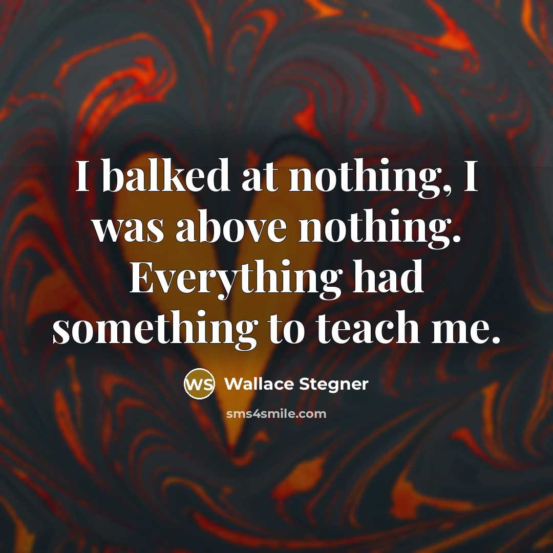 “I balked at nothing, I was above nothing. Everything had…” quote by Wallace Stegner