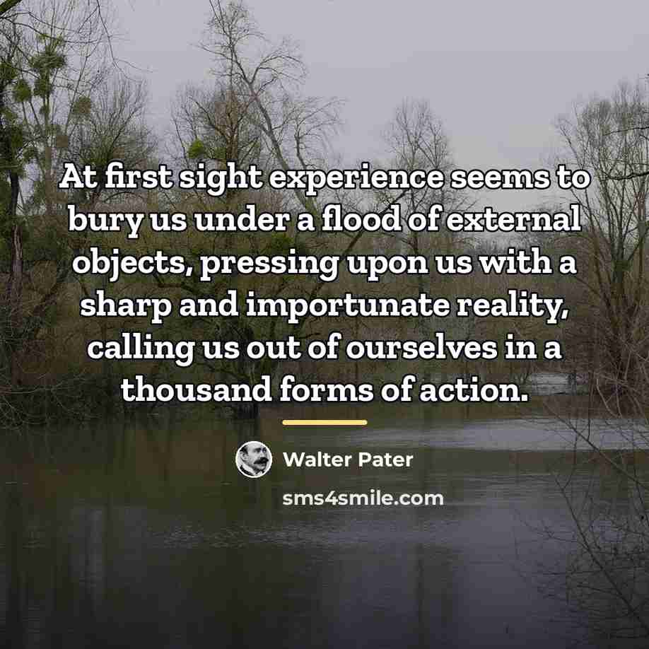 “At first sight experience seems to bury us under a…” quote by Walter Pater
