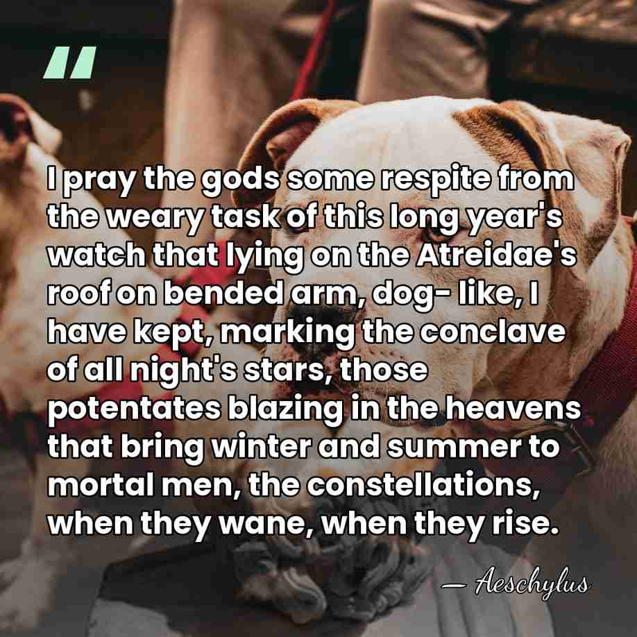 I pray the gods some respite from the weary task of this&hellip; - Aeschylus