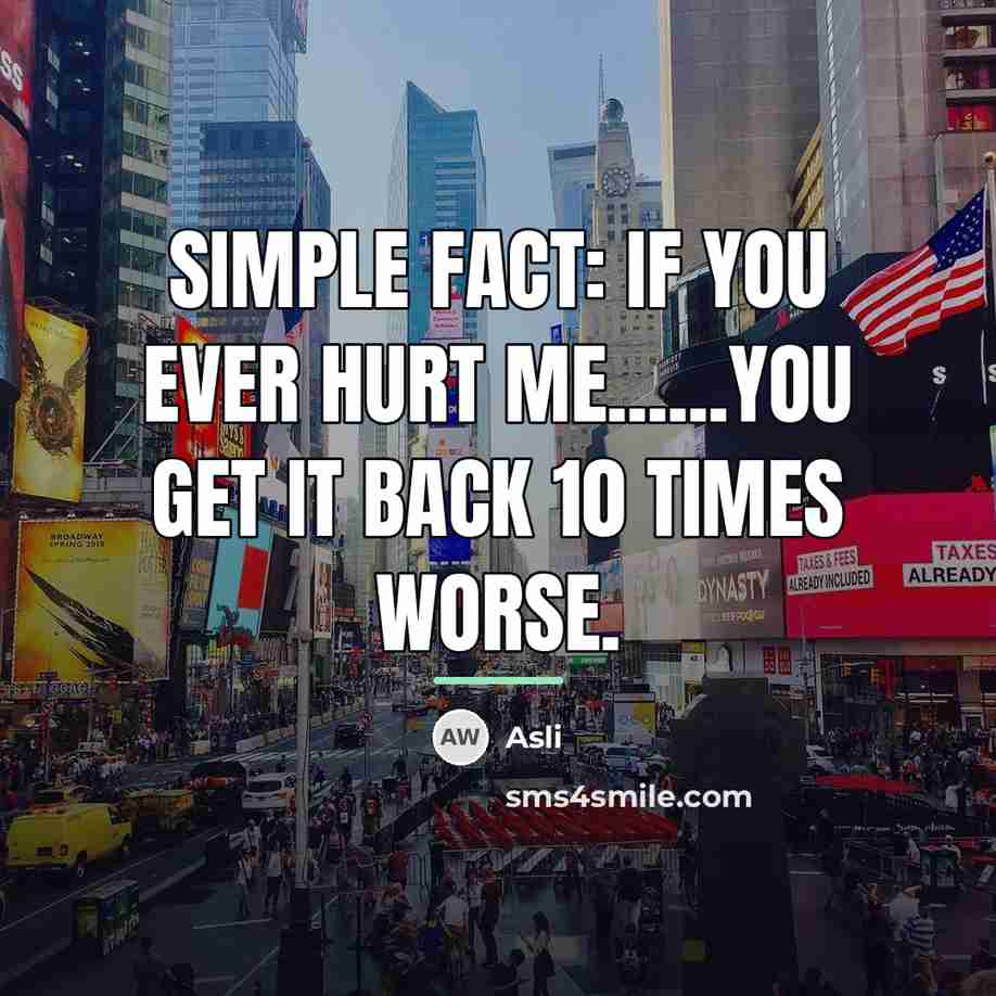 “Simple fact: if you ever hurt me......you get it back…” quote by Asli