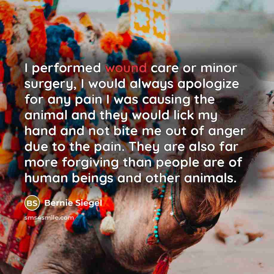 “I performed wound care or minor surgery, I would always…” quote by Bernie Siegel