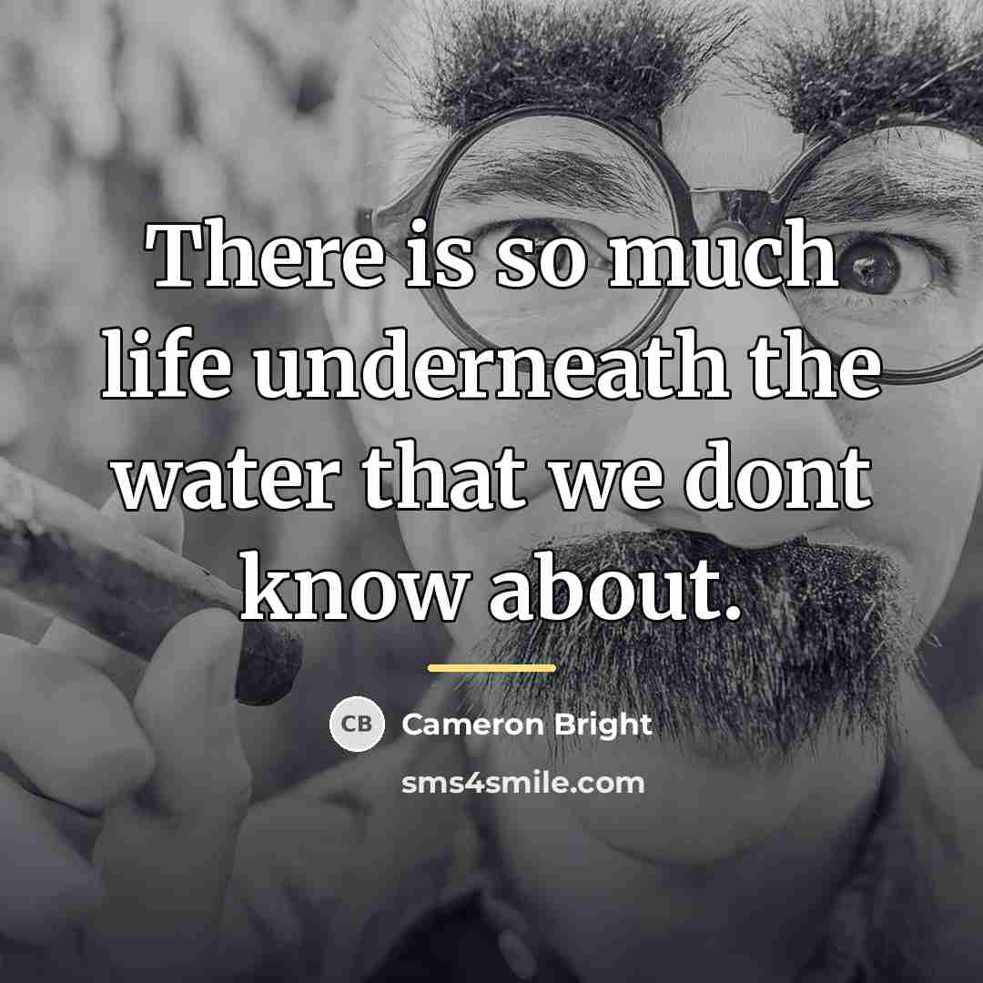 “There is so much life underneath the water that we…” quote by Cameron Bright