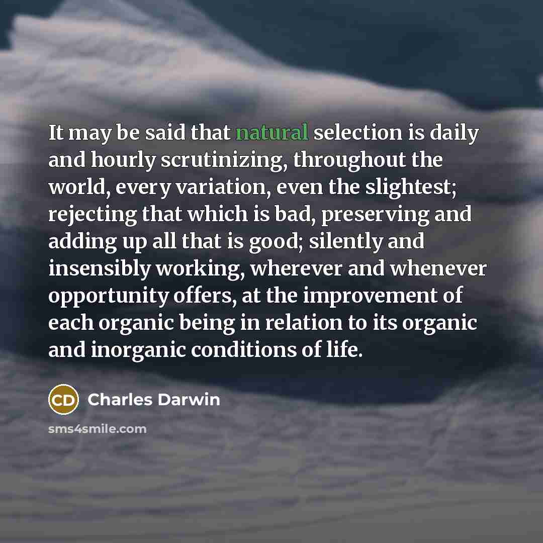 “It may be said that natural selection is daily and…” quote by Charles Darwin