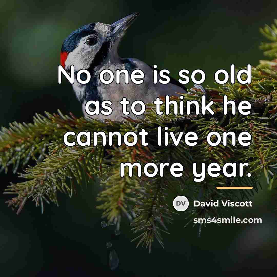 “No one is so old as to think he cannot…” quote by David Viscott
