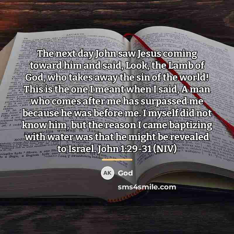 “The next day John saw Jesus coming toward him and…” quote by God