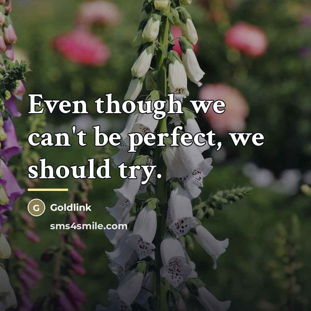 “Even though we can't be perfect, we should try.…” quote by Goldlink