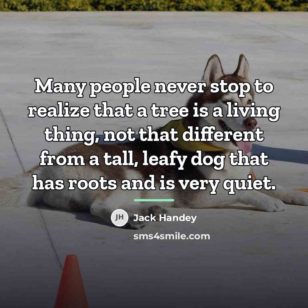 “Many people never stop to realize that a tree is…” quote by Jack Handey