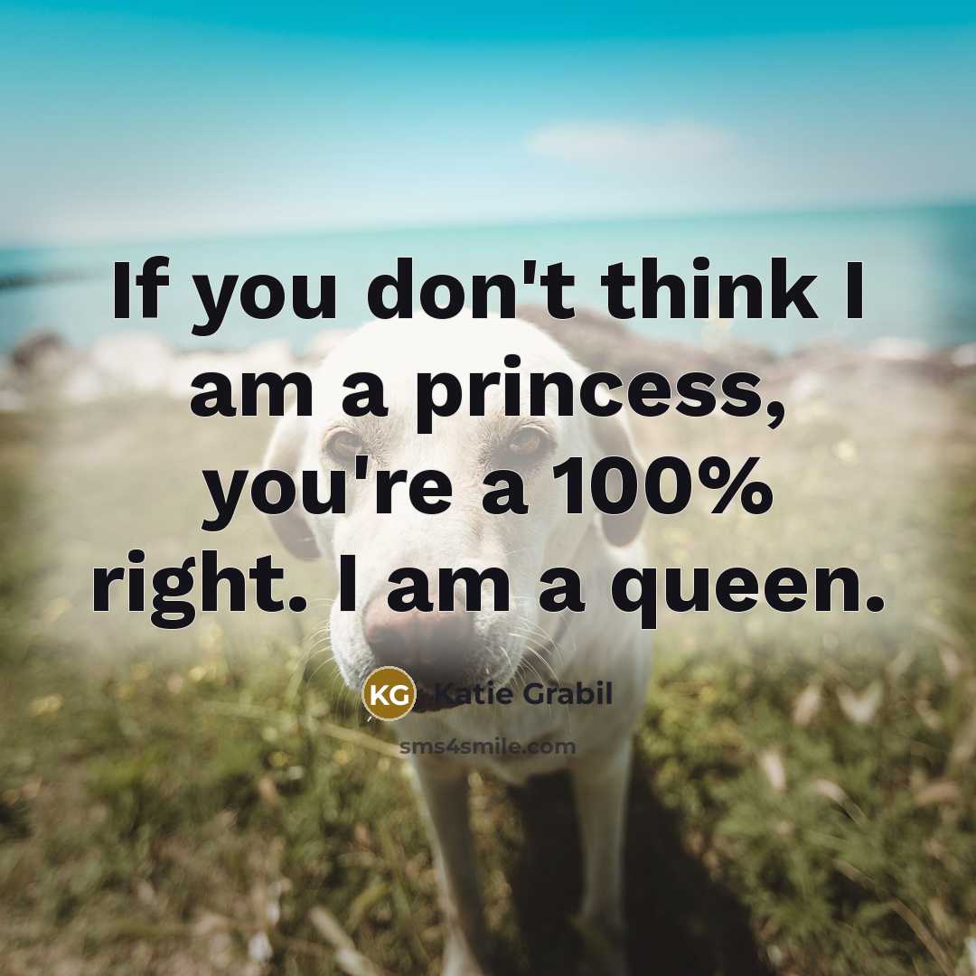 “If you don't think I am a princess, you're a…” quote by Katie Grabil