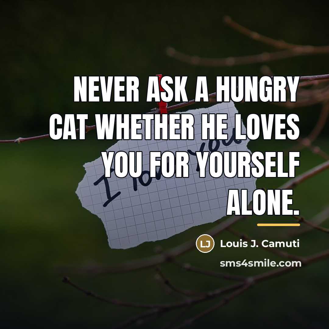 “Never ask a hungry cat whether he loves you for…” quote by Louis J. Camuti