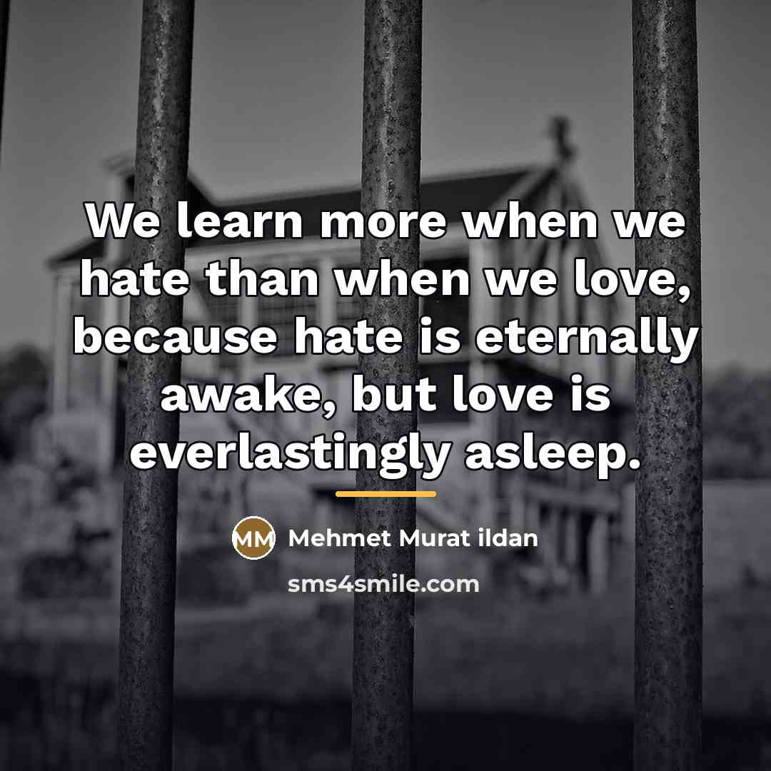 “We learn more when we hate than when we love,…” quote by Mehmet Murat Ildan