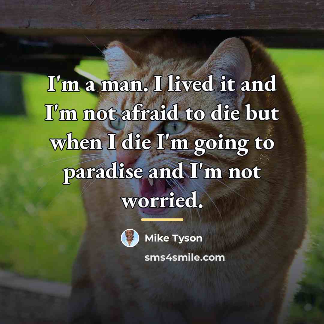 “I'm a man. I lived it and I'm not afraid…” quote by Mike Tyson