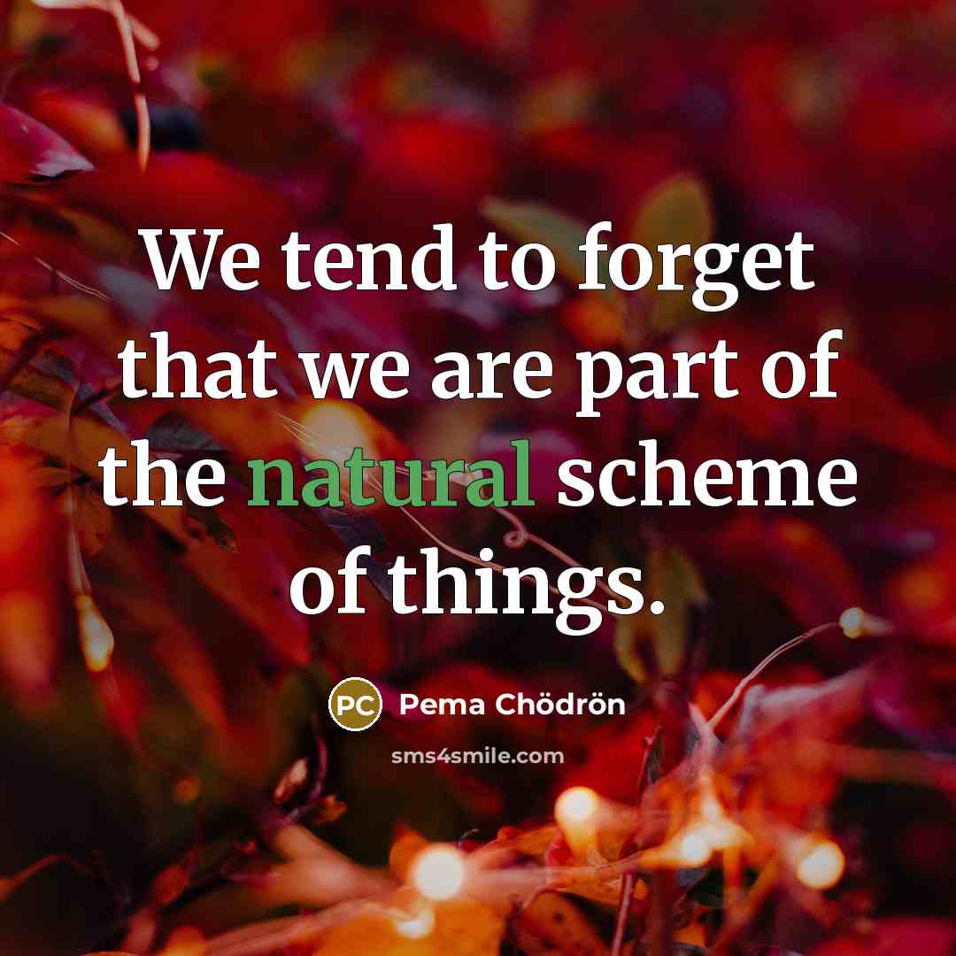 “We tend to forget that we are part of the…” quote by Pema Chodron