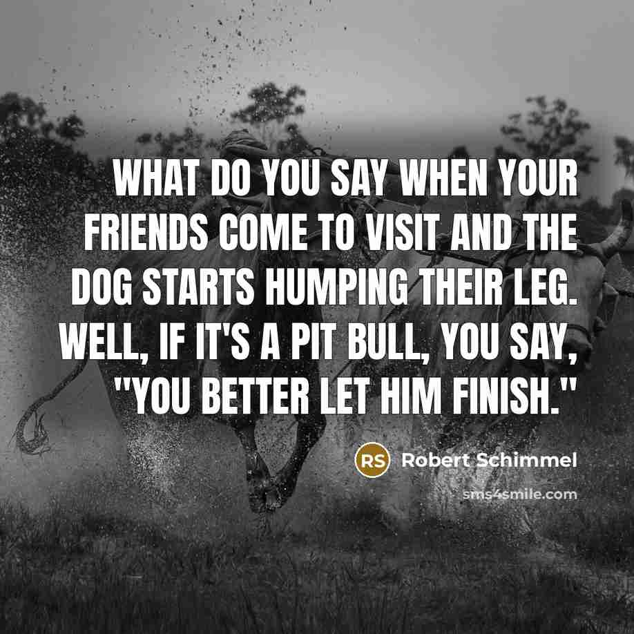 “What do you say when your friends come to visit…” quote by Robert Schimmel