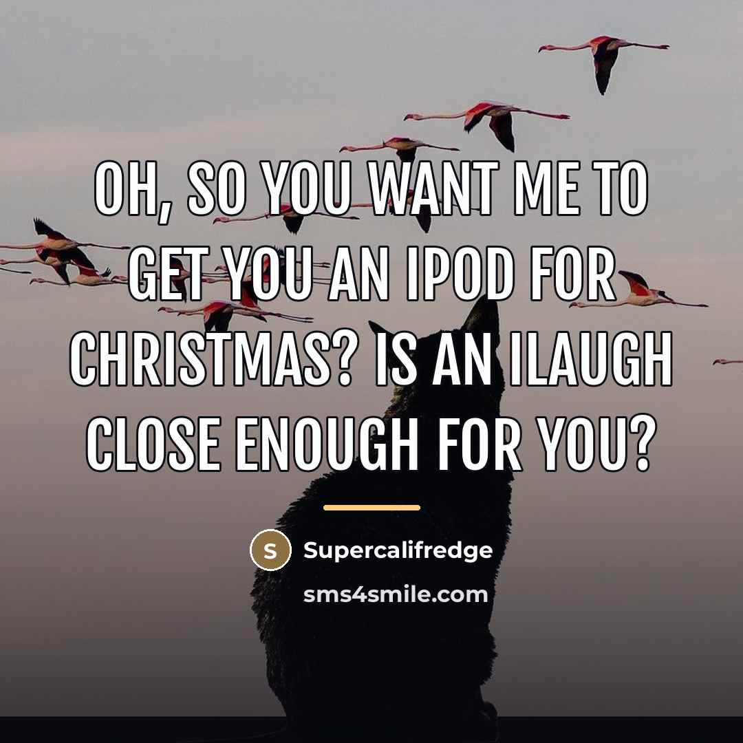 “Oh, so you want me to get you an iPod…” quote by Supercalifredge
