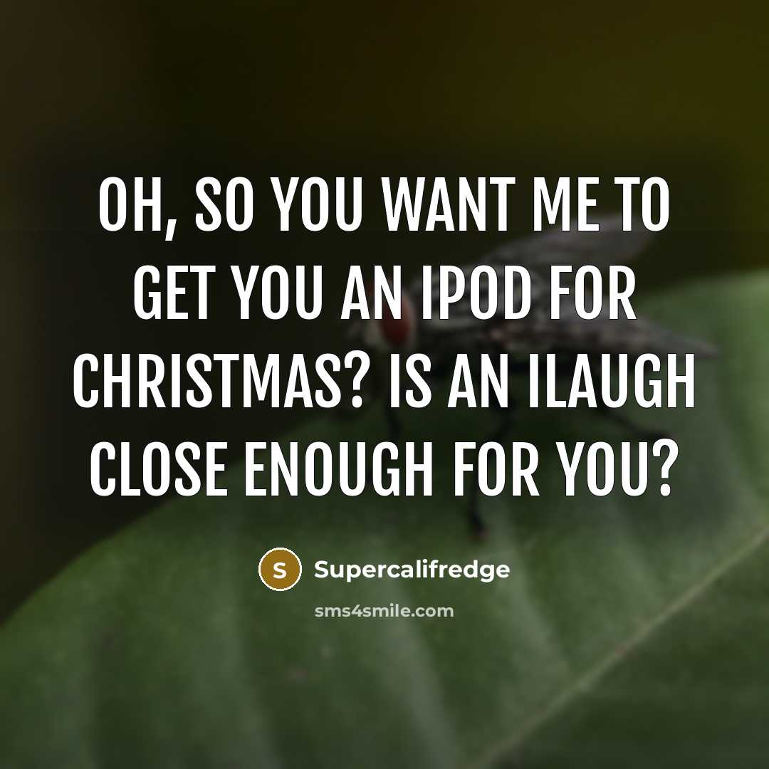 “Oh, so you want me to get you an iPod for Christmas? Is an iLaugh close enough for you?” quote by Supercalifredge