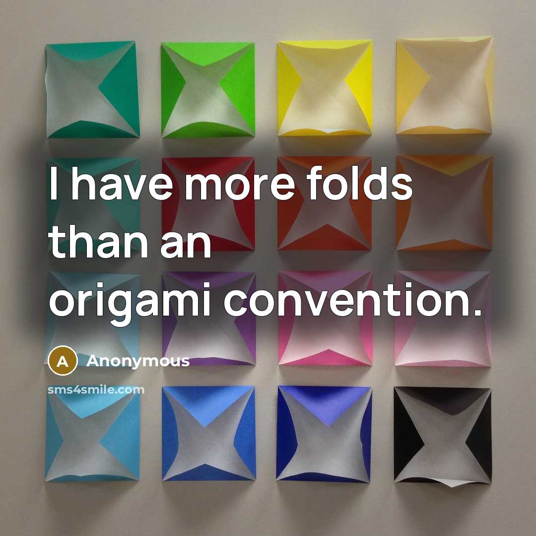 “I have more folds than an origami convention.” quote by Anonymous