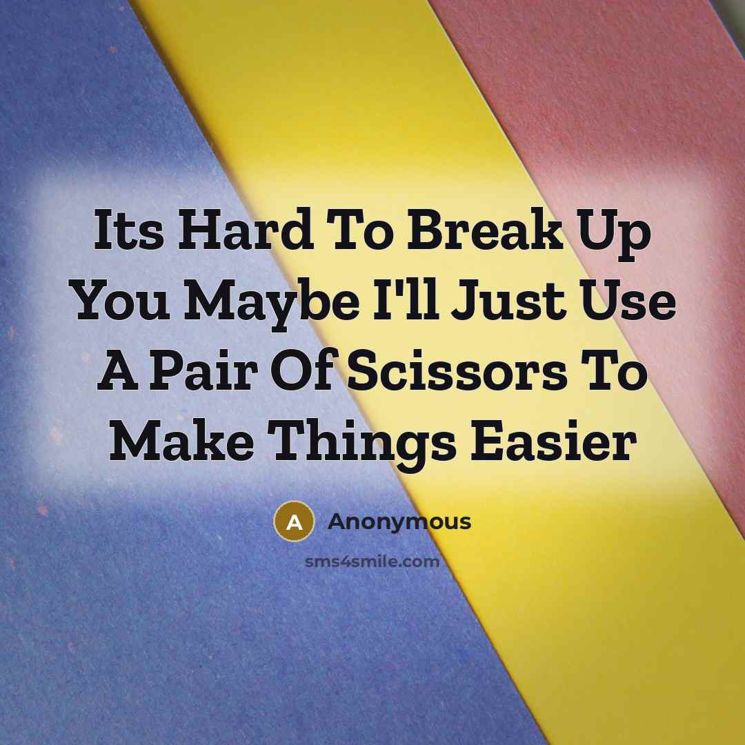 “Its Hard To Break Up You Maybe I'll Just Use A Pair Of Scissors To Make Things Easier” quote by Anonymous