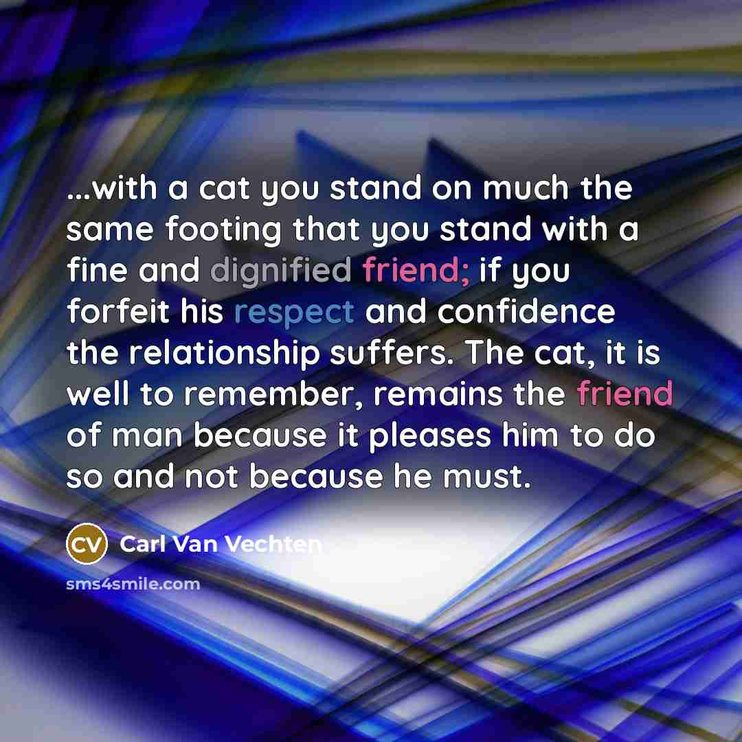 “...with a cat you stand on much the same footing…” quote by Carl Van Vechten