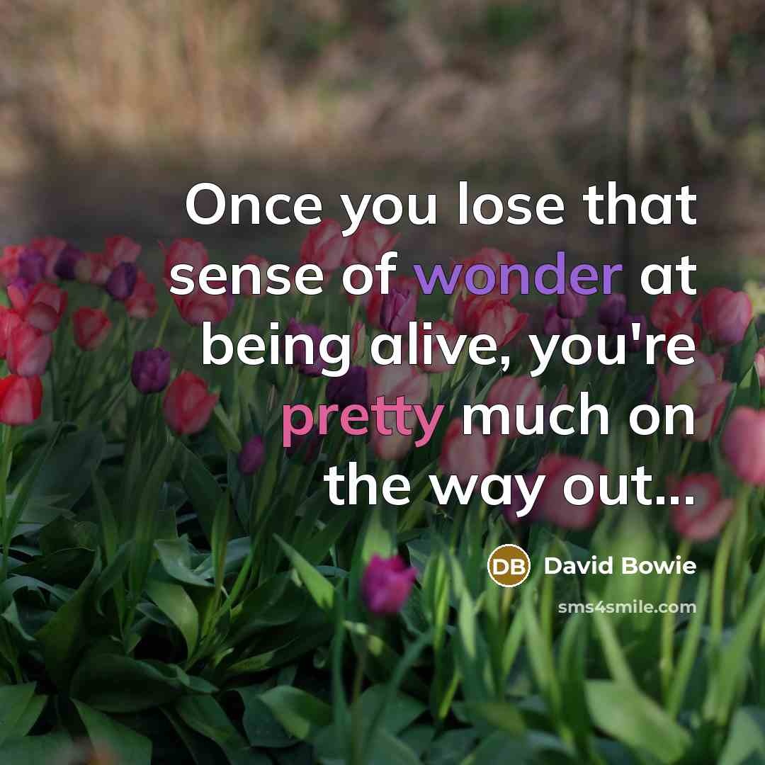 “Once you lose that sense of wonder at being alive,…” quote by David Bowie