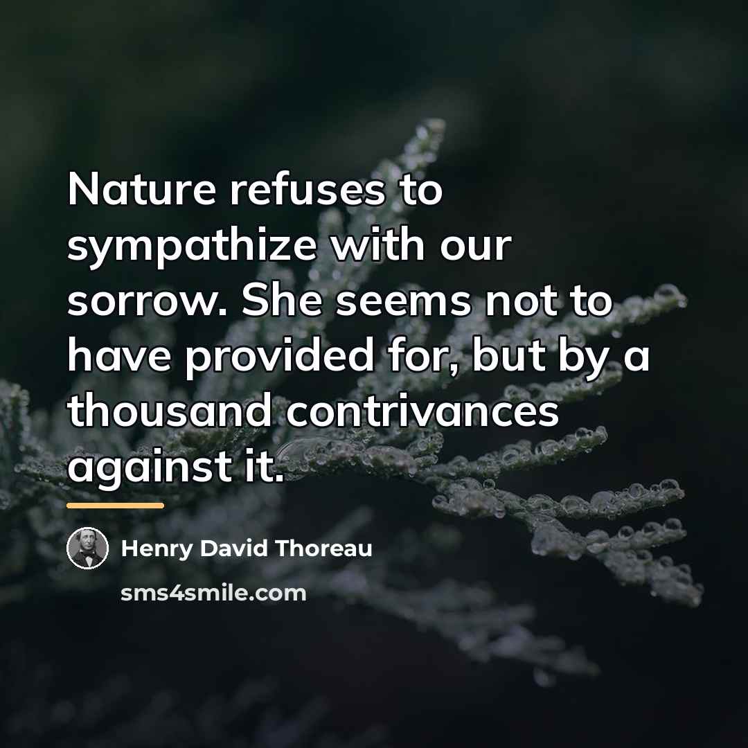 “Nature refuses to sympathize with our sorrow. She seems not…” quote by Henry David Thoreau
