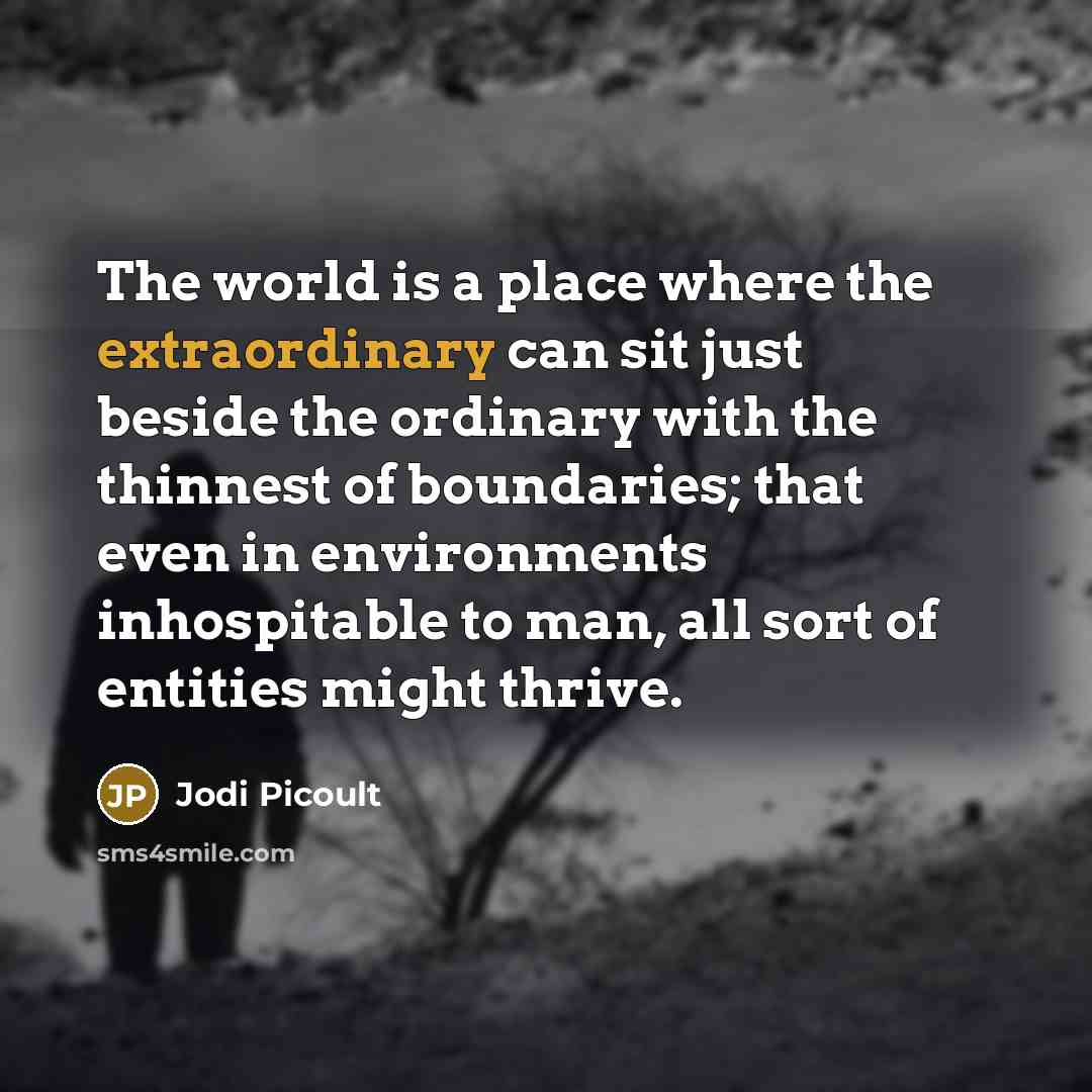 “The world is a place where the extraordinary can sit…” quote by Jodi Picoult