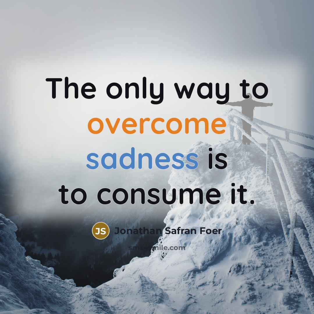 “The only way to overcome sadness is to consume it.” quote by Jonathan Safran Foer