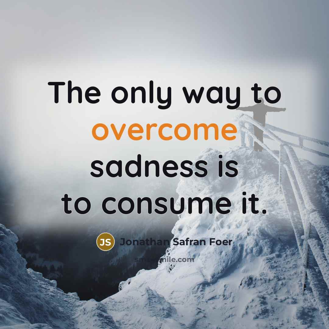 “The only way to overcome sadness is to consume it.…” quote by Jonathan Safran Foer