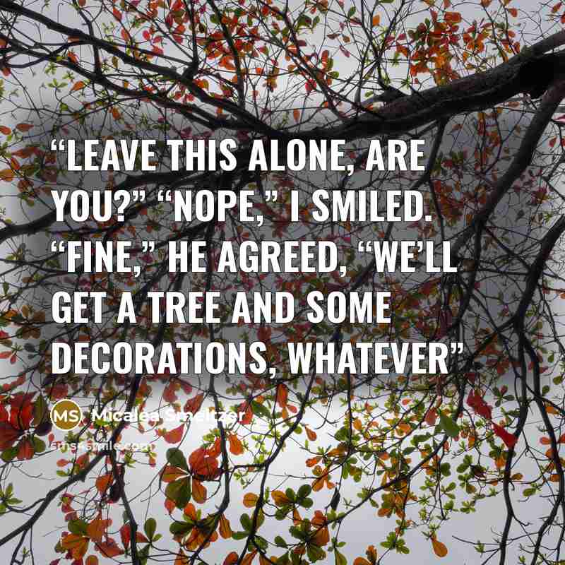 “leave this alone, are you?” “Nope,” I smiled. “Fine,” he agreed, “we’ll get a tree and some decorations, whatever” quote by Micalea Smeltzer